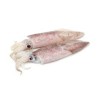 Petits Calamars