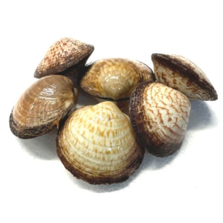 AMANDES